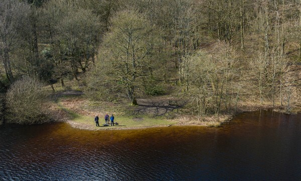Derwent - Landscapes
