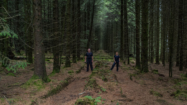 Rowarth - Landscapes