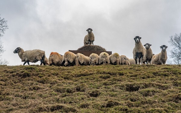 Gunnerside - Landscapes