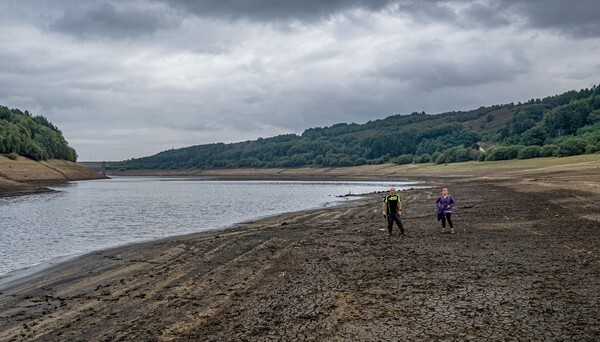 Scamonden Res - Landscapes