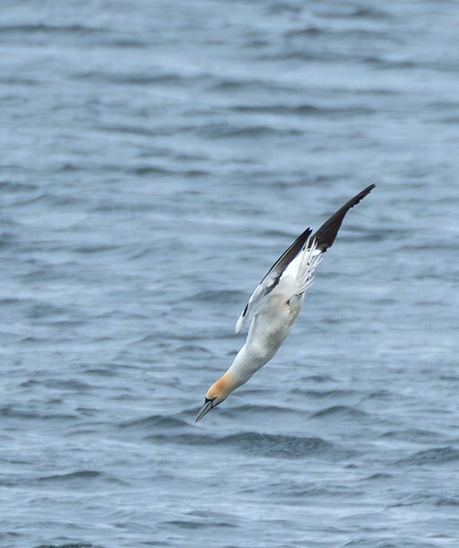 Isle of Man - miscellaneous