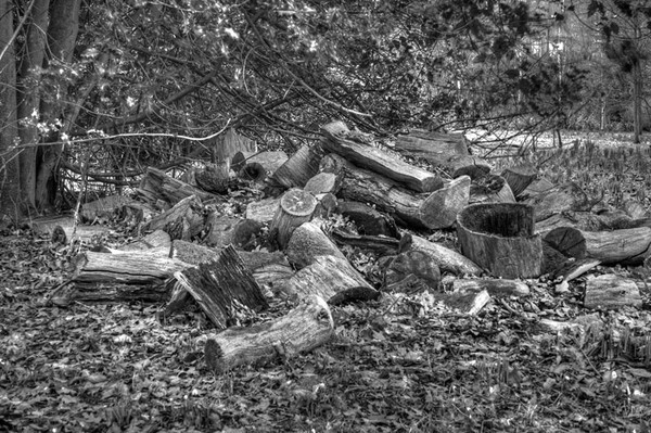 Dunham Massey - miscellaneous