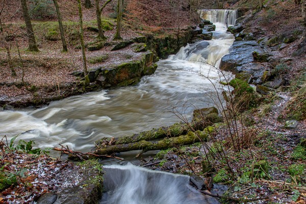 Healey Dell - Landscapes