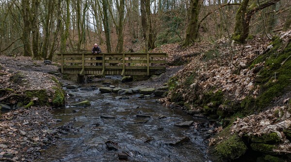 Snailsden - Landscapes