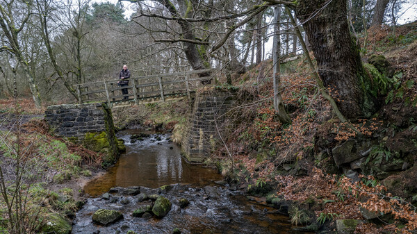 Rivelin - Landscapes