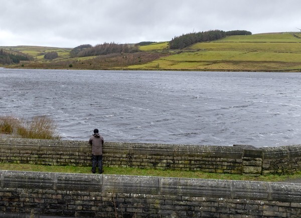 River Loon - Landscapes