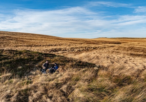 Darwen Moor - Landscapes