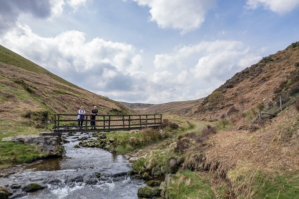 Forest of Bowland - Landscapes
