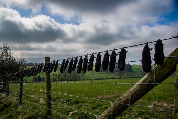 Chinley - miscellaneous