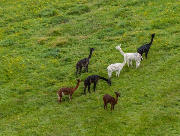 Killington - Landscapes