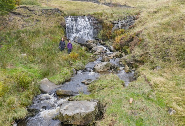 Cheeseden Mill - Landscapes