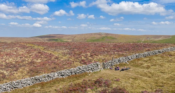 Dartmoor - Landscapes