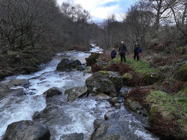 Loweswater - Landscapes