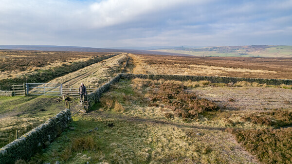 Rivelin - Landscapes