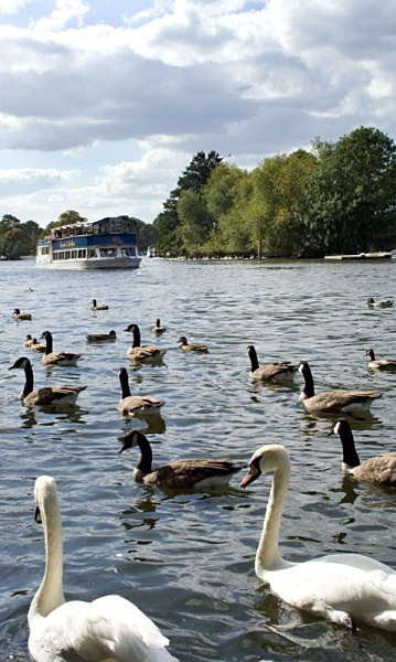 Landscape Photography landscape moorland m62 dovestone canon 100d nature saddleworth moor isle of man obolisk landscape photography peter costello