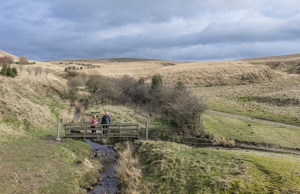 Cat and Fiddle - Landscapes