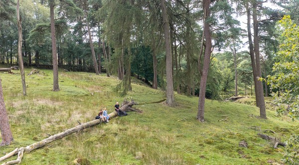 Forest of Bowland - Landscapes