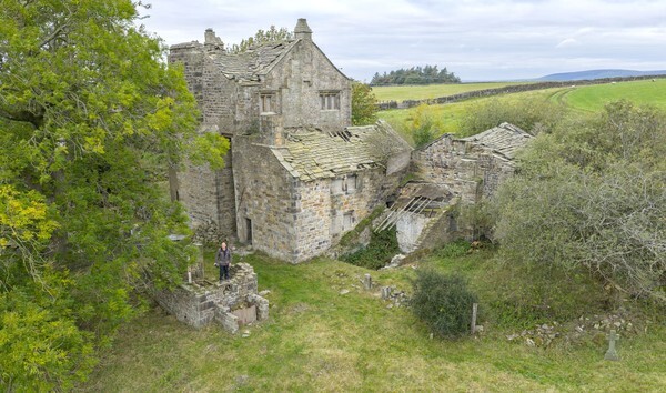 Brierfield - Landscapes