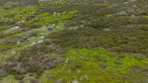 Langsett Moor - Landscapes