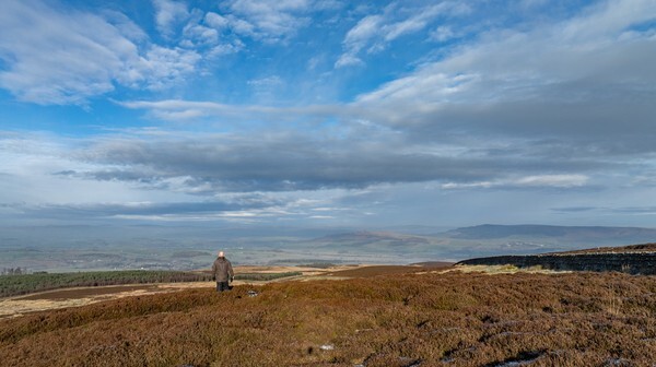 Elslack Moor - Landscapes