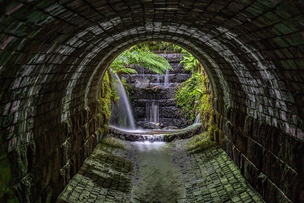 Padley Gorge - miscellaneous