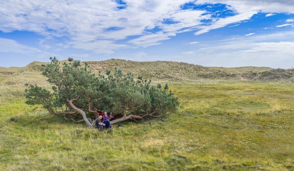 Berick Upon Tweed - Landscapes