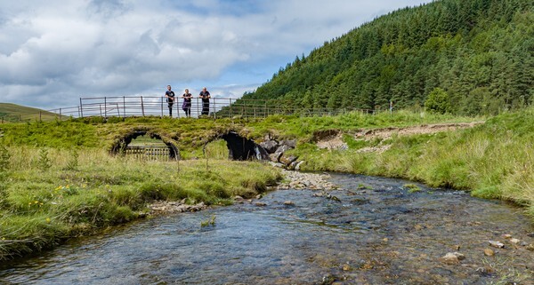 Tweedsmuir - Landscapes