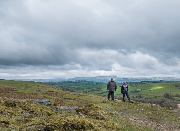 Derwent - Landscapes
