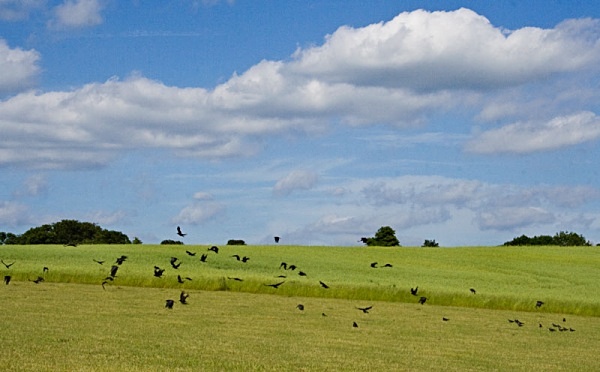 Landscape Photography landscape moorland m62 dovestone canon 100d nature saddleworth moor isle of man obolisk landscape photography peter costello