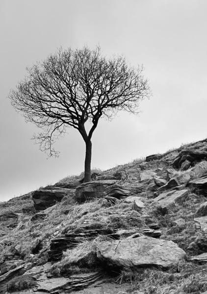 holmewood bothy lake loweswater cumbria Loweswater Fells  Mellbreak  Gavel Fell Blake Fell  Hen Comb  Burnbank Fell national trust