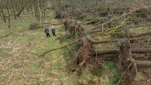 Hameldon Hill - Landscapes