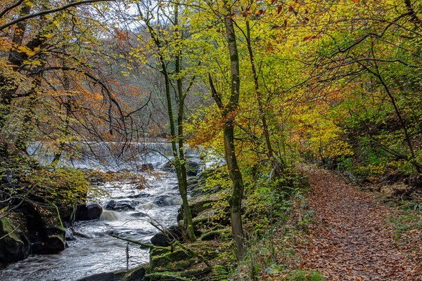 Pleasngton - miscellaneous