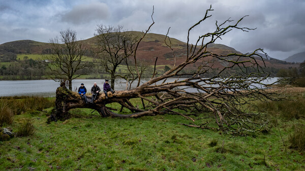 Loweswater - Landscapes