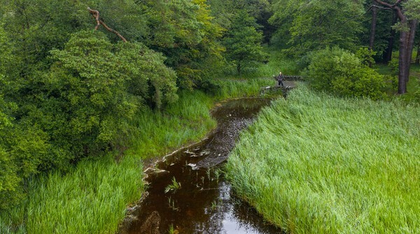 Killington - Landscapes