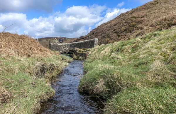 Cat and Fiddle - Landscapes