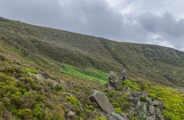 Woodhead - Landscapes