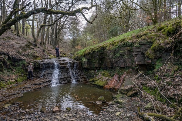Chorley - Landscapes