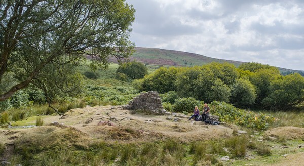 Dartmoor - Landscapes