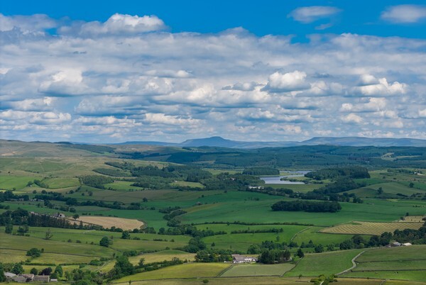 Forest of Bowland - Landscapes