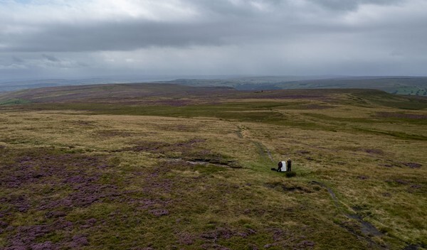 Saddleworth Moor - Landscapes