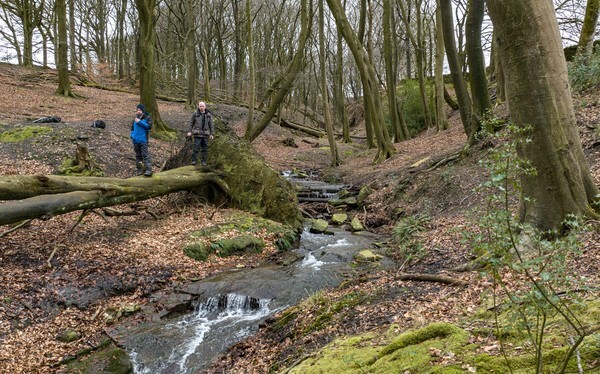 Forest of Bowland - Landscapes