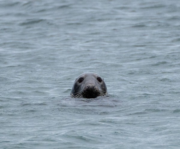 Isle of Man - miscellaneous