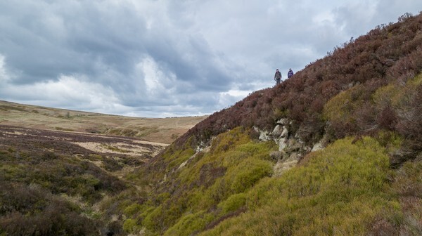 Woodhead - Landscapes
