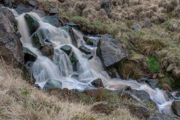 Calderbrook - miscellaneous