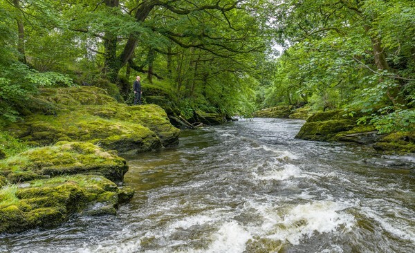 Sedbergh - Landscapes