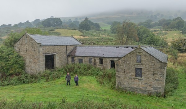 Snake Road - Landscapes