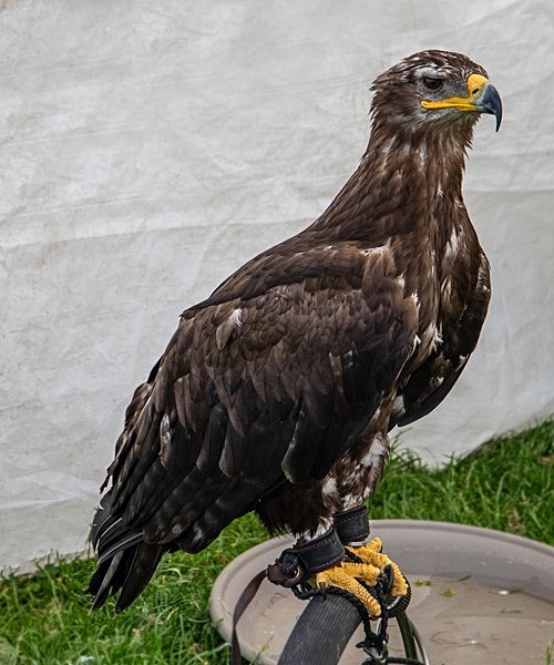 Yorkshire Wartime Experience - miscellaneous