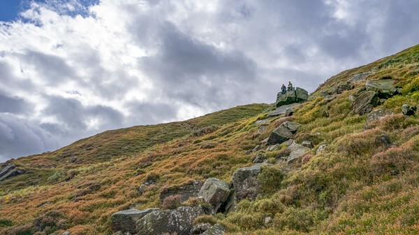 Siddens Moss - Landscapes