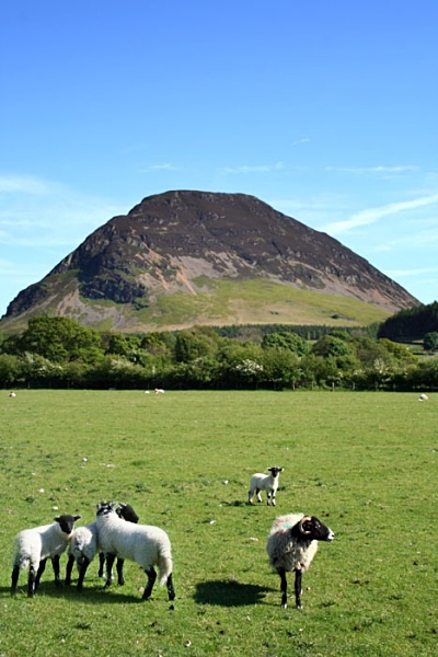 Holmewood Bothy Loweswater Cumbria National Trust Holmewood Petercostellophotography.com lake district Bothys Watergate Farm