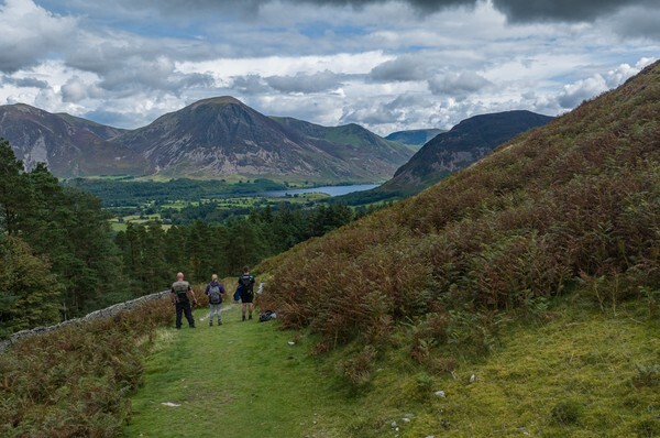 Holmewood Bothy - Landscapes